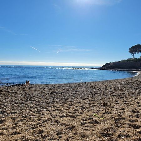 Appartement La Tranquillite, 2Mn A Pieds Mer Fréjus Extérieur photo