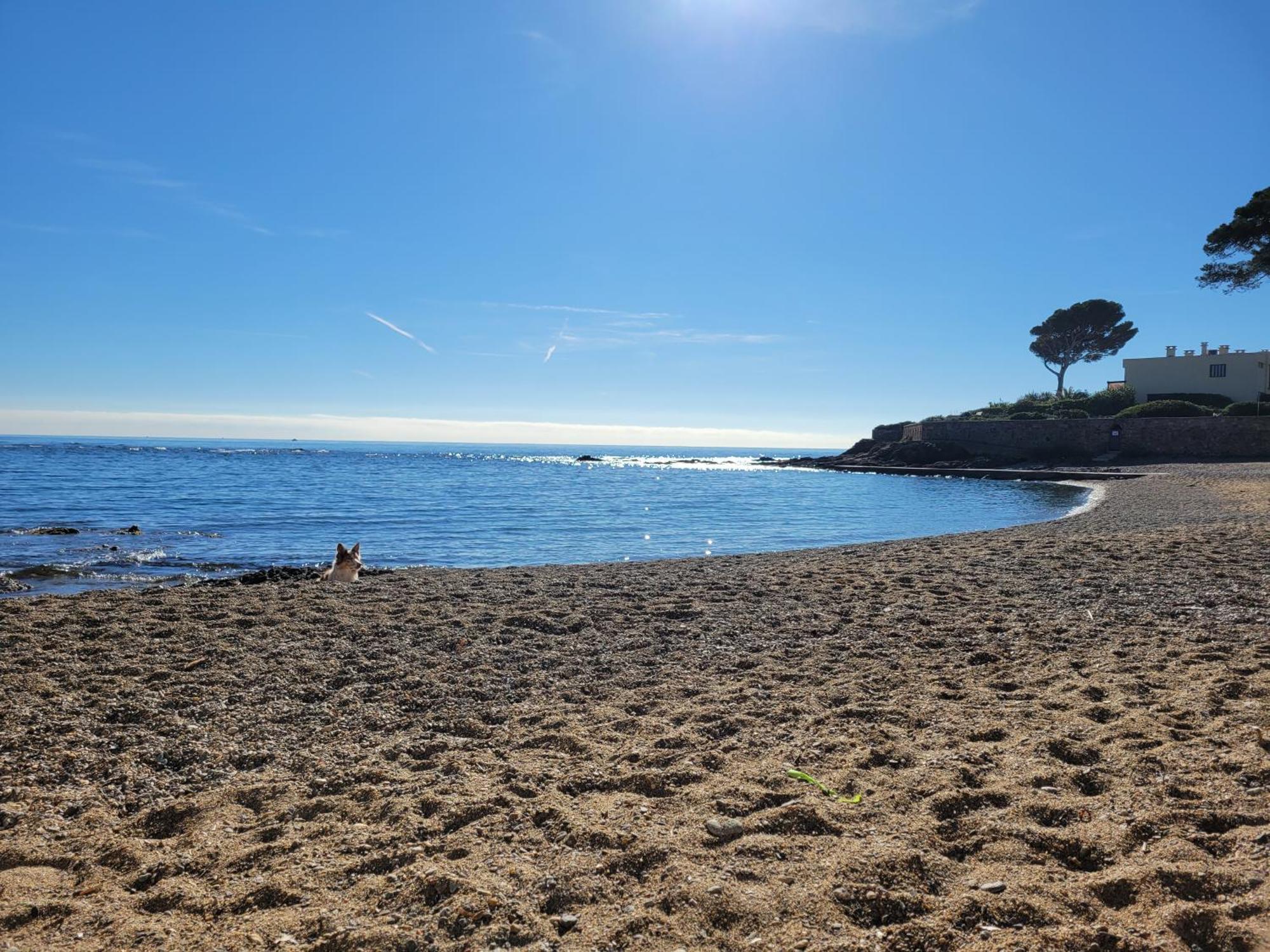 Appartement La Tranquillite, 2Mn A Pieds Mer Fréjus Extérieur photo